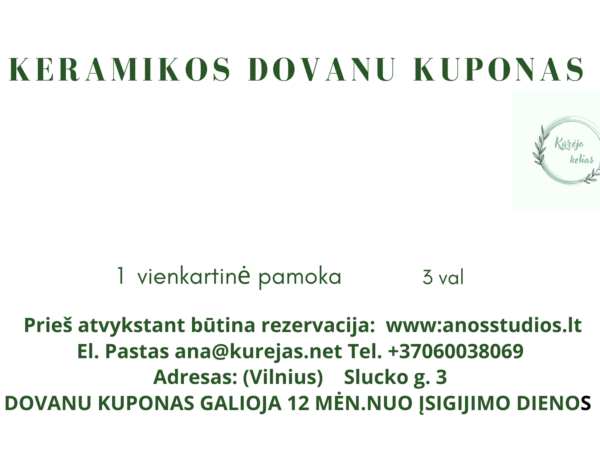 Dovanų kuponas (1 pamoka)