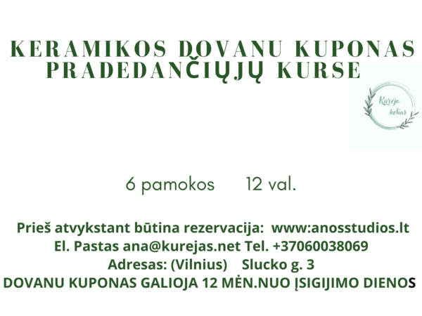 Dovanų kuponas PRADEDANCIUJU KURSE